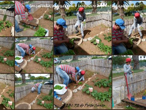 O Gonçalo, o aluno do ensino especial com CEI, aprende também com o jardineiro.